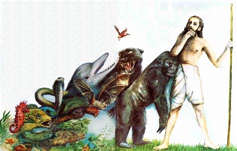 darwins mistake  evolution  natural selection   godhead