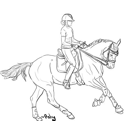 riding  horse drawing  getdrawings