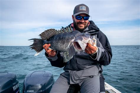 How To Catch Black Sea Bass On The Water