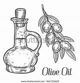 Olio Salvato sketch template