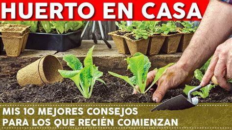 ¿qué Hacer Para Cultivar La Tierra 10 Consejos Prácticos Para