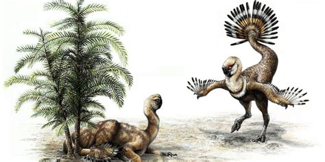The Sexiest Dinosaurs Learned How To Fly First