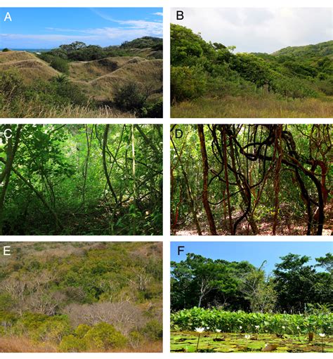 landscapes showing   vegetation types  data