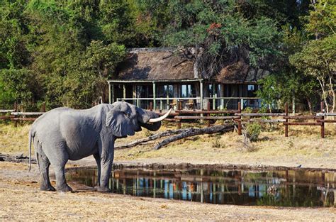 Savute Safari Lodge Chobe National Park Botswana