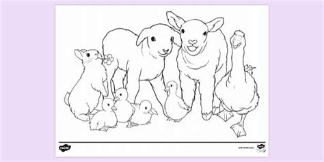 spring animals colouring page creative activity  kids