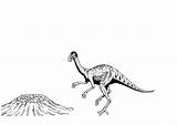 Nest Dinosaur Coloring sketch template