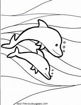 Dolphin Dolphins Pintar Dofins Delfines Coloringhome sketch template