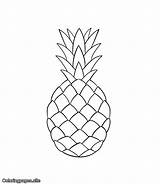 Pineapple Coloringpages sketch template
