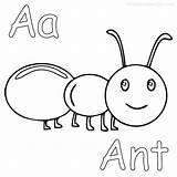 Ant Coloring Pages Kids Atom Printable Getcolorings Color Getdrawings Man sketch template