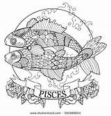 Pisces Signs Zodiaco Mandalas Pesci Signos Segno Piscis Picis Popocatepetl Raster Visitar Ausdrucken Erwachsene sketch template