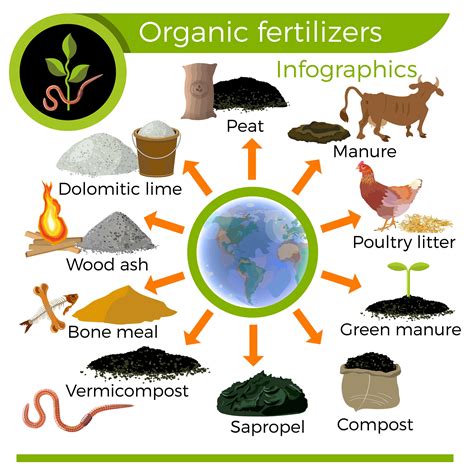 types  fertilizer    plants grow