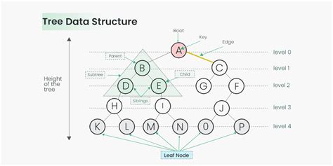tree data structure geeksforgeeks