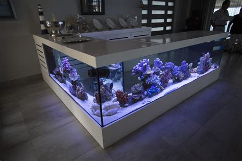 custom aquariums aqua concepts