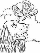 Kleurplaat Honden Kleurplaten Coloring Voor Dieren Kids Dog Pages Huisdieren Dogs Nl Adult sketch template