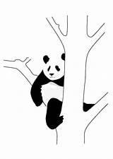 Panda Tree Coloring Pages Large Edupics Printable sketch template