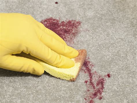 quick guide    clean  blood spills properly