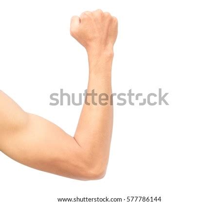 man arm strong muscle  white stock photo royalty   shutterstock