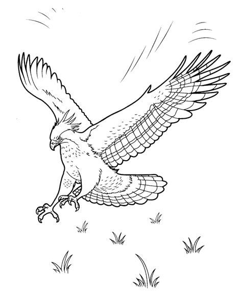 coloring page eagle