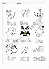 Animals Trace Colour Worksheet Worksheets Preview sketch template