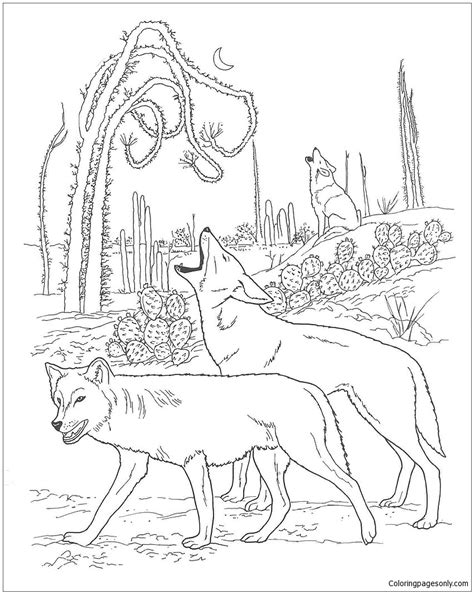 desert animals  coloring page  printable coloring pages