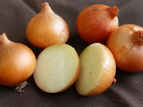 organic yellow onions  lbs