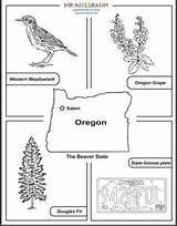 Oregon sketch template