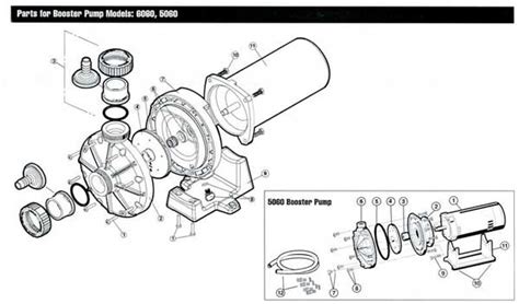 hayward pump parts diagram general wiring diagram