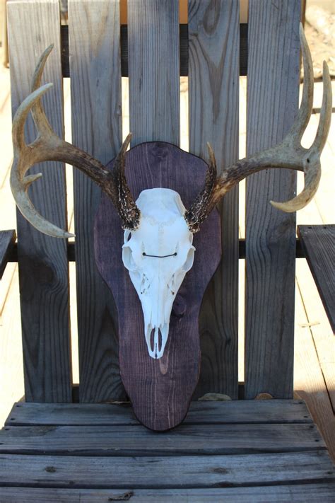 deer skull plaque deer skull mount plaque deer plaque etsy