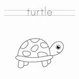 Turtle Tracing sketch template