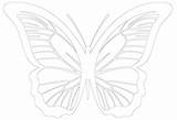 Outline Butterfly Stencil Applique Coloring Pages sketch template
