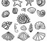 Coloring Pages Zigzag Getdrawings sketch template
