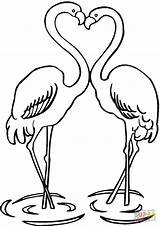 Coloring Flamingo Pages Printable Couple Drawing Colorings sketch template