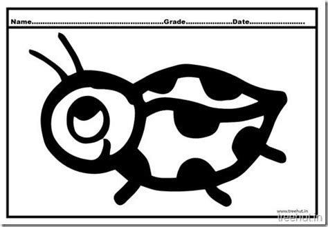 ladybird coloring pages  coloring pages color ladybird