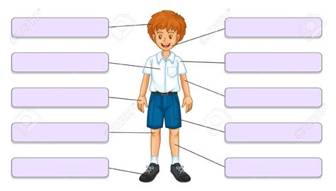 body clipart labelling body labelling transparent     webstockreview