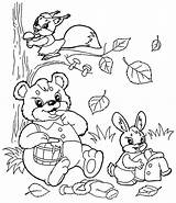 Coloring Forest Pages Animal sketch template