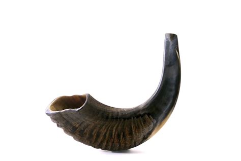 shofar questions  lies  blowing  shofar