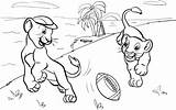 Coloring Football Cubs Lions Playing Lion Pages Cub Drawing American Printable Categories Getdrawings Skip Main sketch template