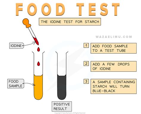 food test practical
