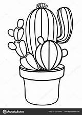 Kaktus Vaso Outline Ausmalen Cacti Cacto Cactos Flores Kakteen Ausmalbilder Haft Linear Blooming Spikes Lineare Anlage Blumentopf sketch template