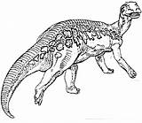 Edmontosaurus sketch template