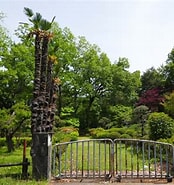 安倍川花木園 に対する画像結果.サイズ: 174 x 185。ソース: photohito.com