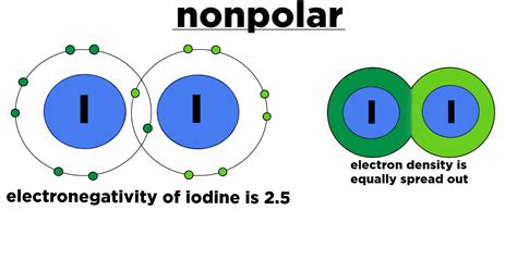 difference  polar  nonpolar examples