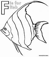 Fish Coloring Butterfly Angelfish Getcolorings sketch template