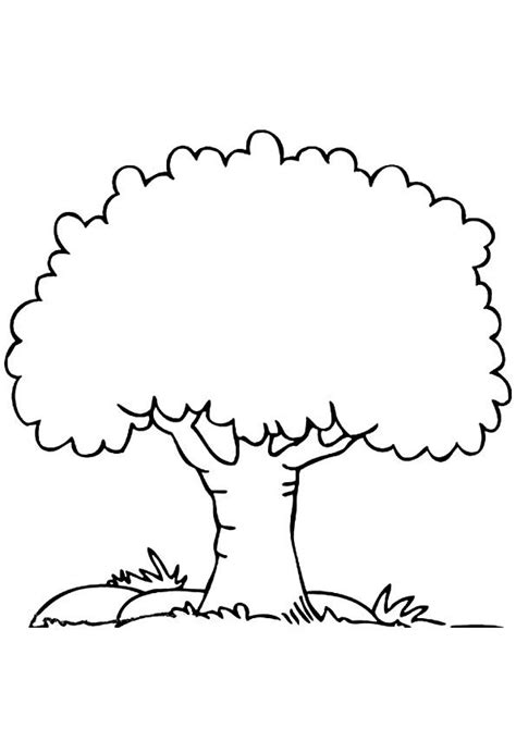 trees coloring pages  adults