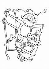 Monkey Coloring Pages Monkeys Funny Worksheets Playing Printable Parentune Preschoolers Books sketch template