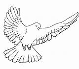 Dove Coloring Peace Drawing Pages Flight Getcolorings Printable Getdrawings sketch template