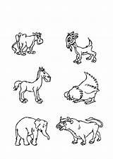 Templates Animal Farm Choose Board Coloring Pages sketch template
