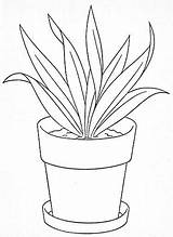 Macetas Flowerpot Imprimir sketch template