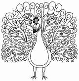 Peacock Paisley Outline Coloring Pages Drawing Getdrawings Getcolorings Peacocks Color Unusual Purely Gates Mylar Embroidery Available sketch template