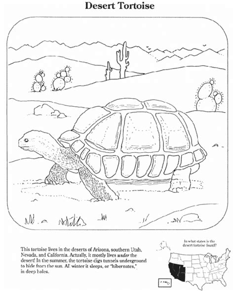 desert coloring pages  sheets     desert